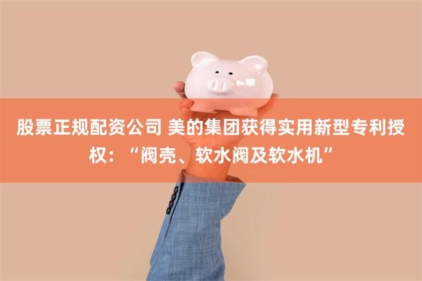 股票正规配资公司 美的集团获得实用新型专利授权：“阀壳、软水阀及软水机”