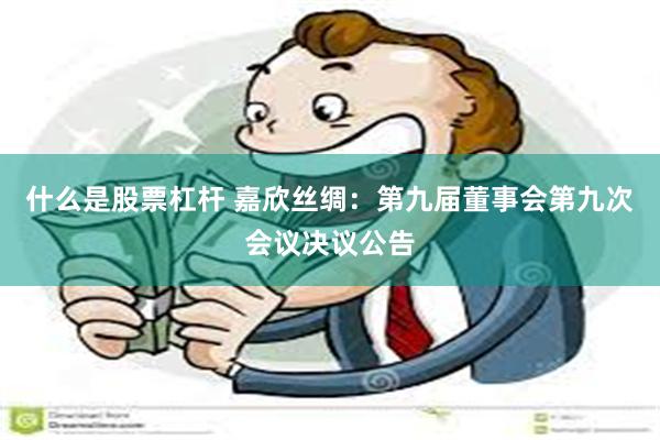什么是股票杠杆 嘉欣丝绸：第九届董事会第九次会议决议公告