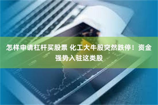 怎样申请杠杆买股票 化工大牛股突然跌停！资金强势入驻这类股
