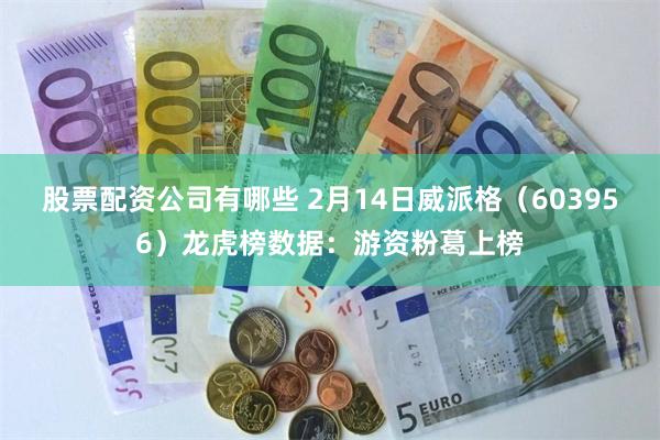 股票配资公司有哪些 2月14日威派格（603956）龙虎榜数据：游资粉葛上榜