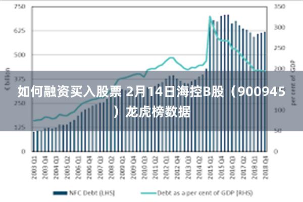 如何融资买入股票 2月14日海控B股（900945）龙虎榜数据