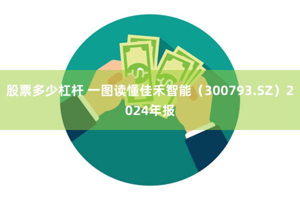 股票多少杠杆 一图读懂佳禾智能（300793.SZ）2024年报