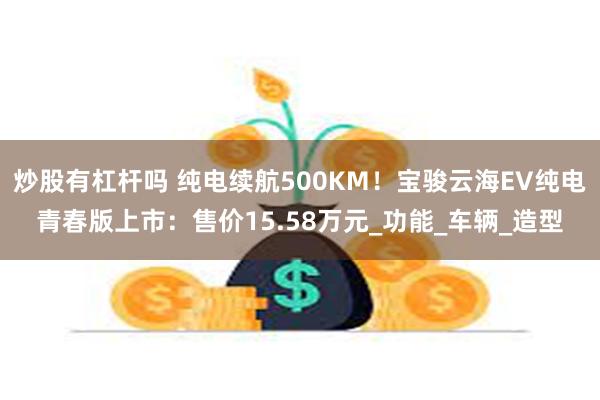 炒股有杠杆吗 纯电续航500KM！宝骏云海EV纯电青春版上市：售价15.58万元_功能_车辆_造型