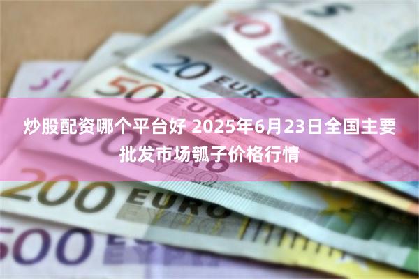 炒股配资哪个平台好 2025年6月23日全国主要批发市场瓠子价格行情