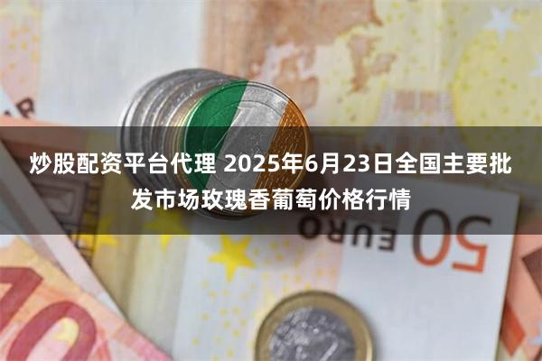 炒股配资平台代理 2025年6月23日全国主要批发市场玫瑰香葡萄价格行情