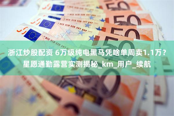 浙江炒股配资 6万级纯电黑马凭啥单周卖1.1万？星愿通勤露营实测揭秘_km_用户_续航