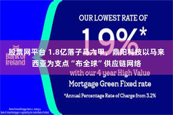 股票网平台 1.8亿落子马六甲，鼎阳科技以马来西亚为支点“布全球”供应链网络