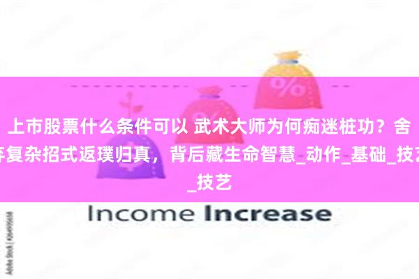 上市股票什么条件可以 武术大师为何痴迷桩功？舍弃复杂招式返璞归真，背后藏生命智慧_动作_基础_技艺